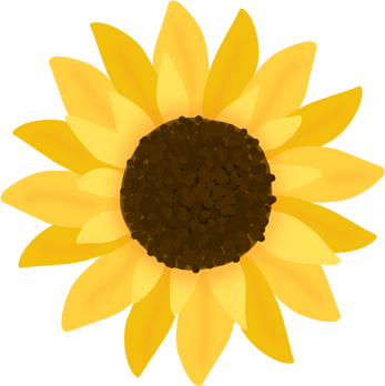 Yellow Sunflower Illustration